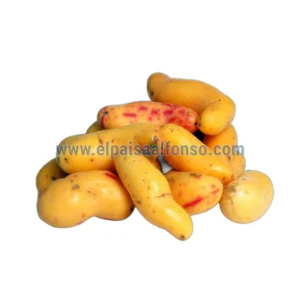Olluco Entero 12x580gr.